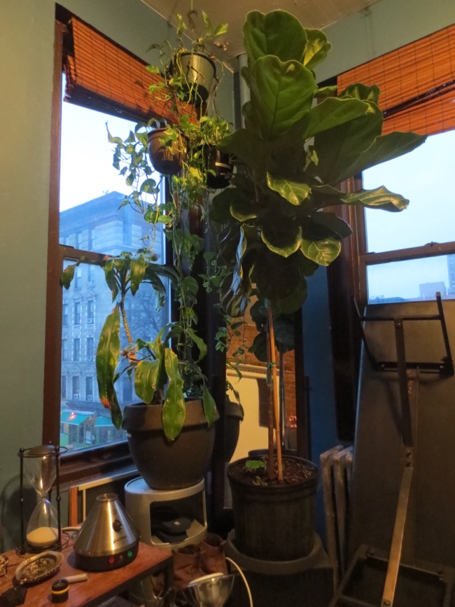 e9th apt