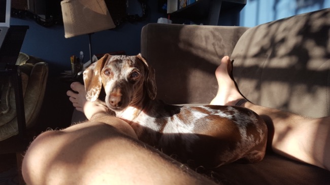 couch