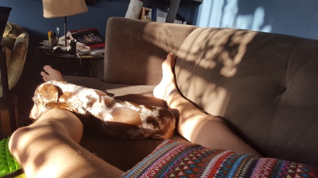 couch