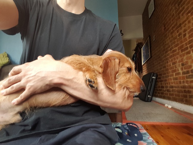 major, me