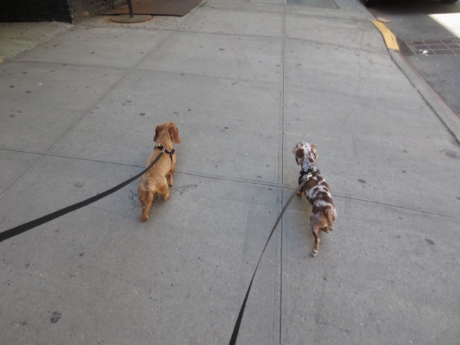 walking