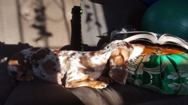 asleep