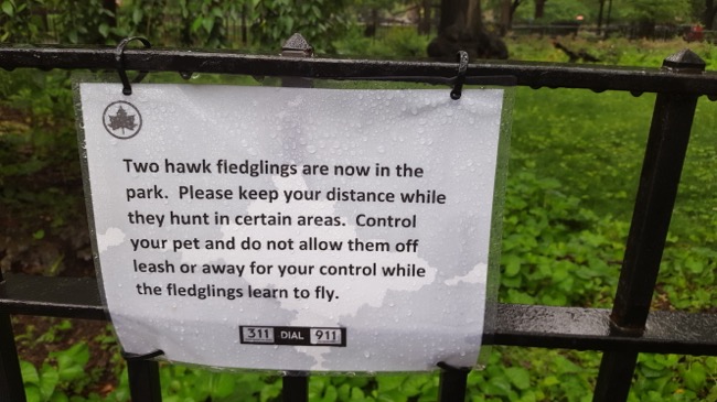sign