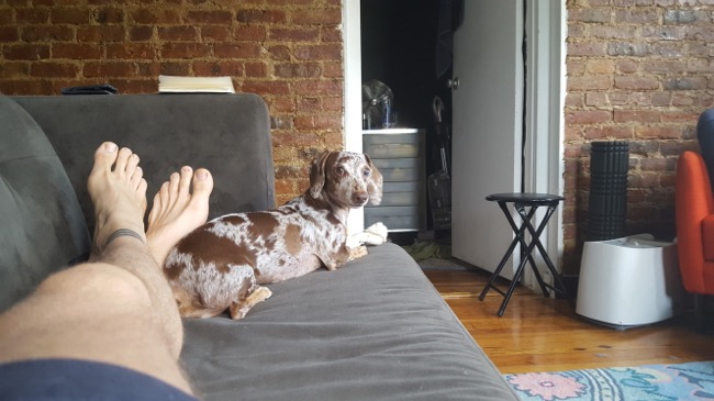 couch