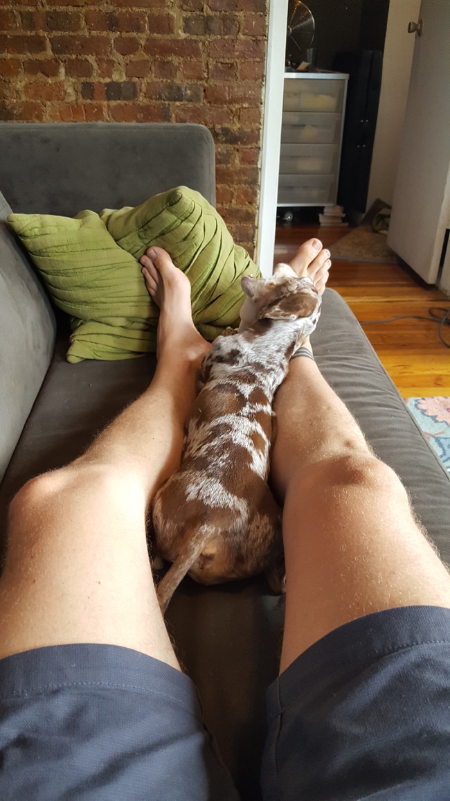couch
