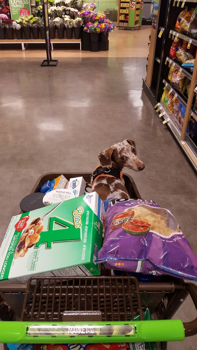 shopping