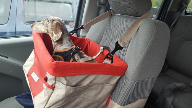 driving