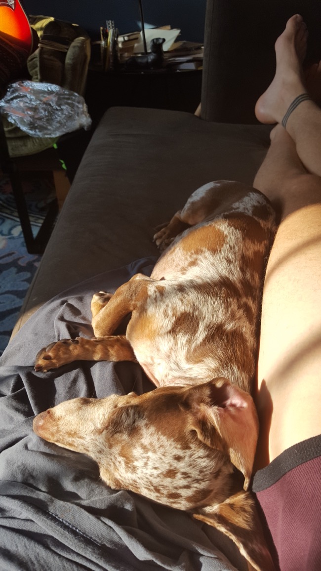 cuddle