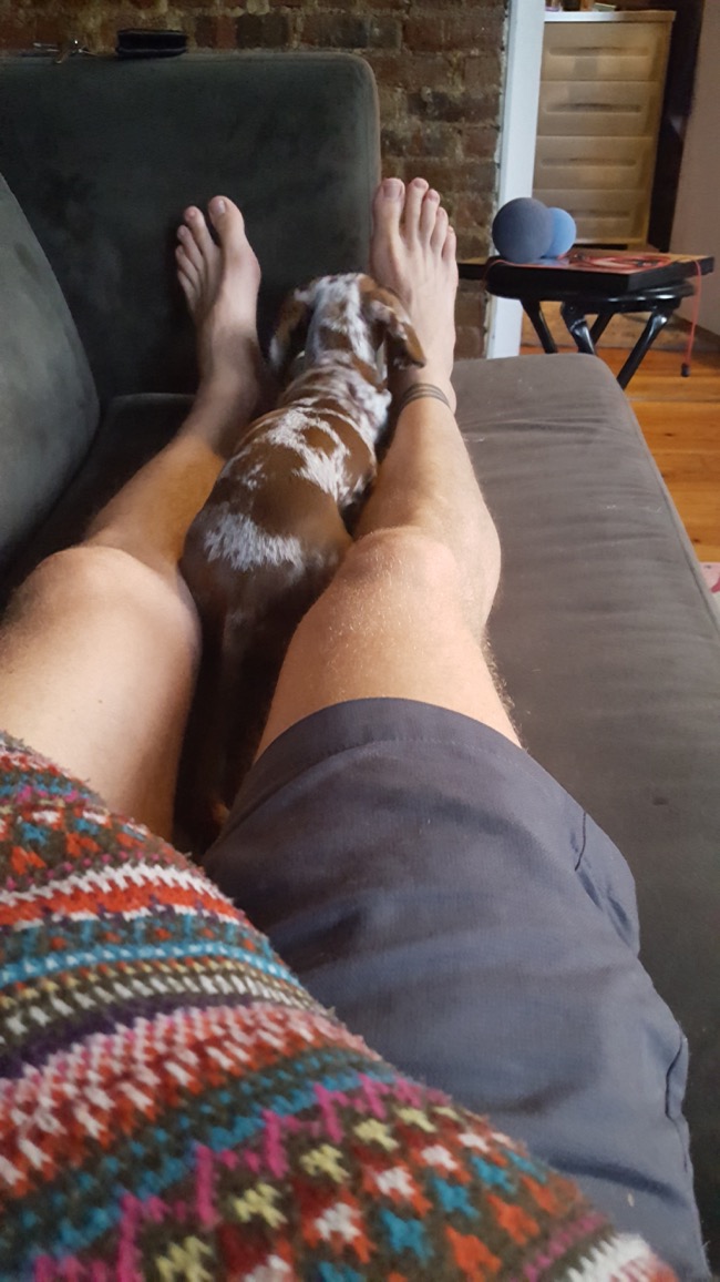 cuddle