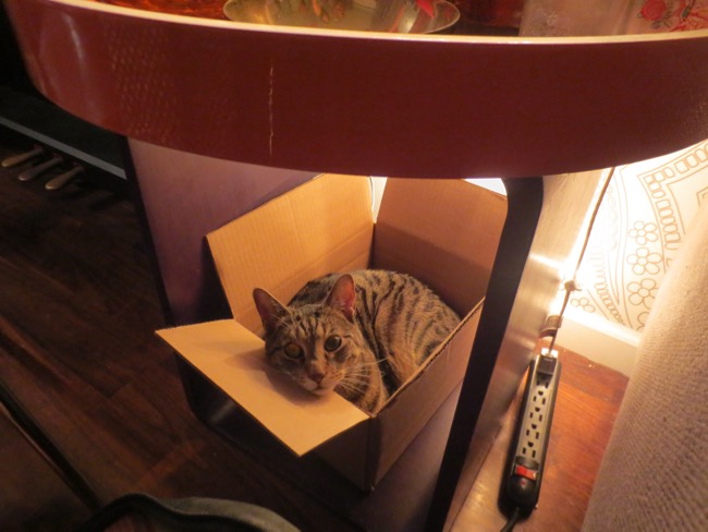 box