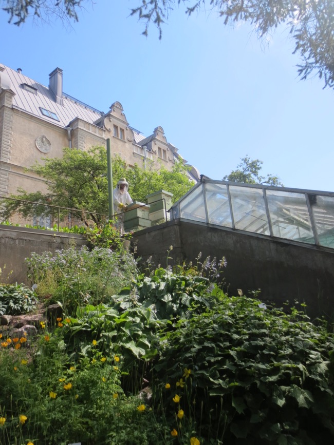 garden
