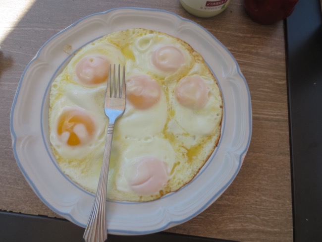 egg