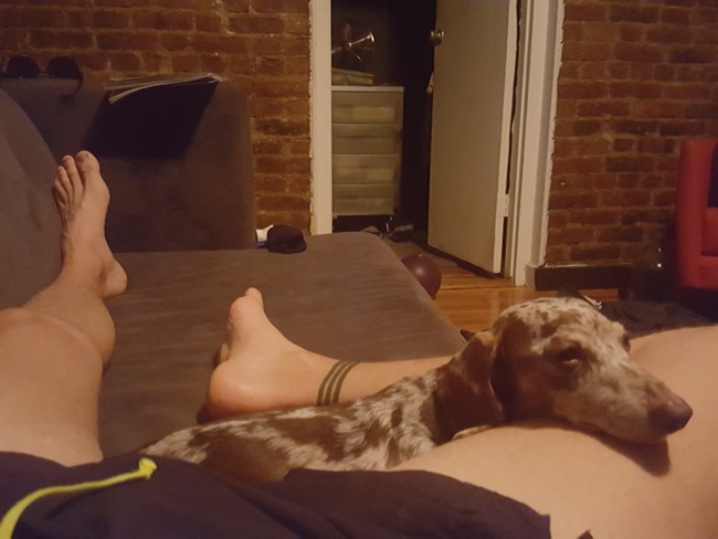 cuddle