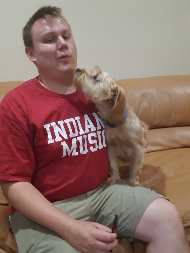 dogs