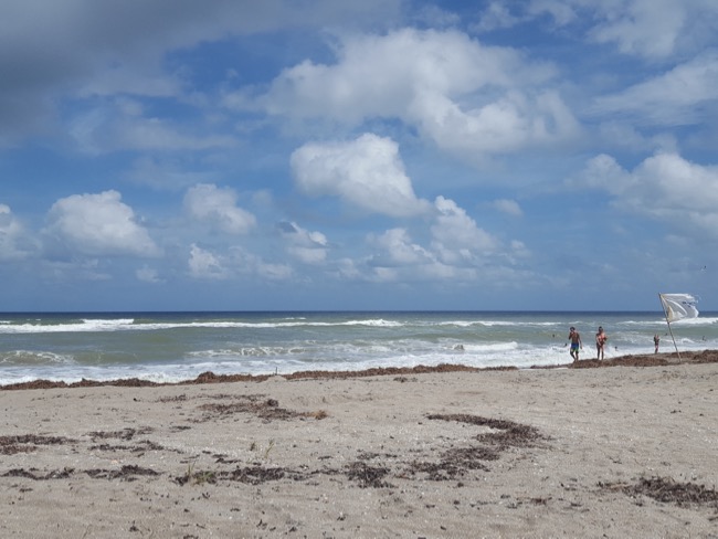 beach