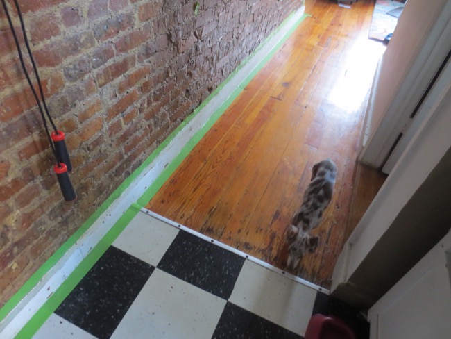 e9th apt