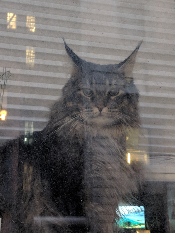 window
