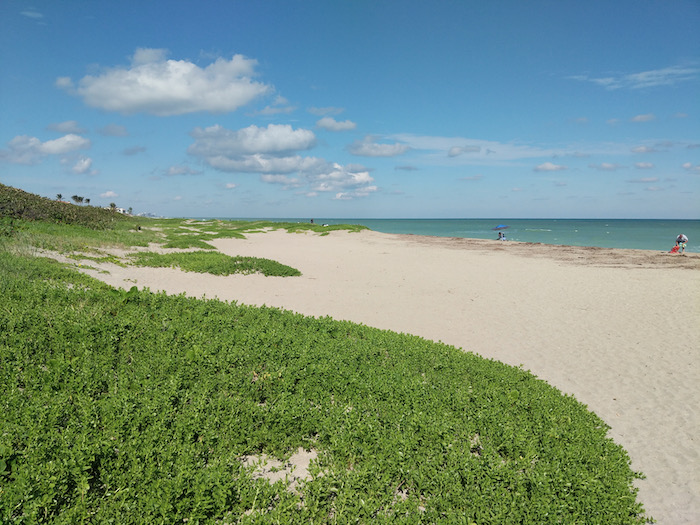 beach