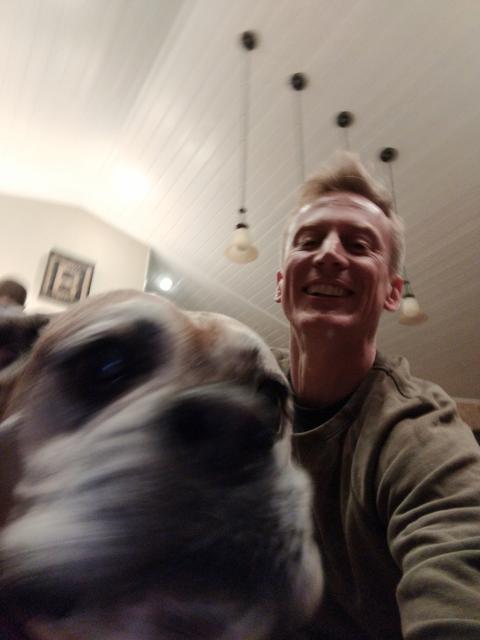 dog
