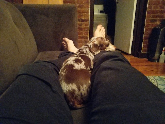 cuddle