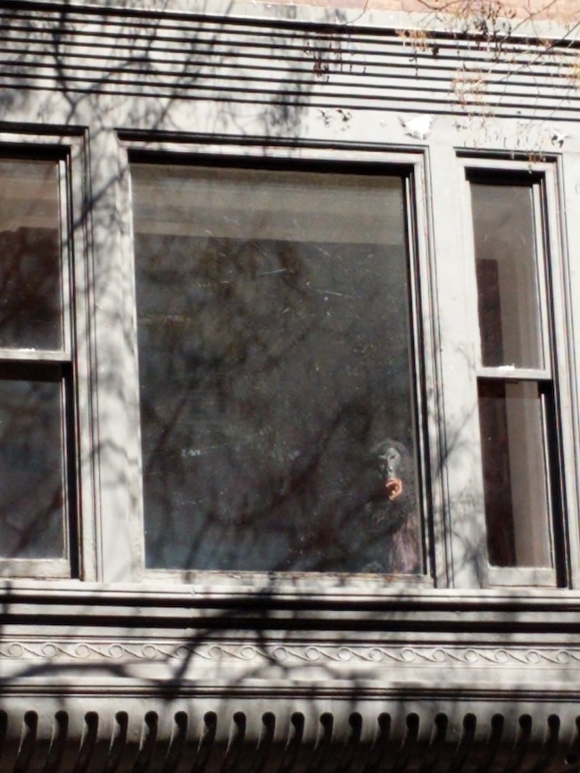 window