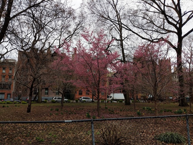 tompkins