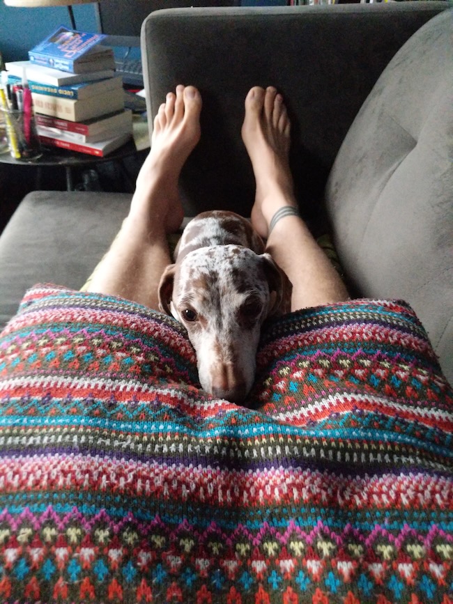 pillow