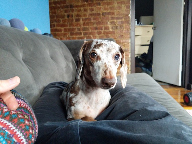 maddy