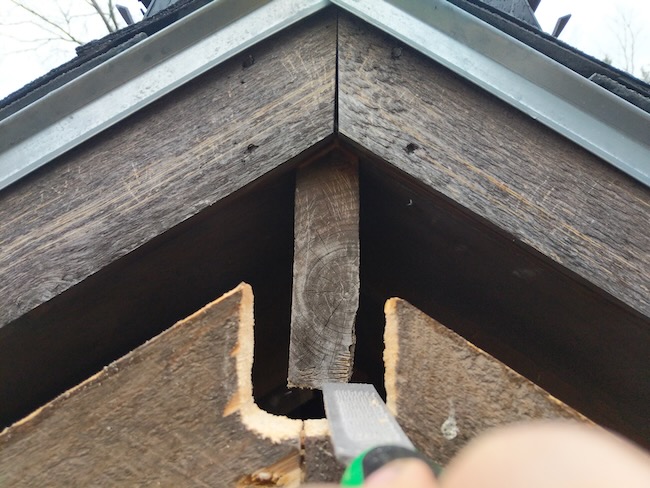 roof